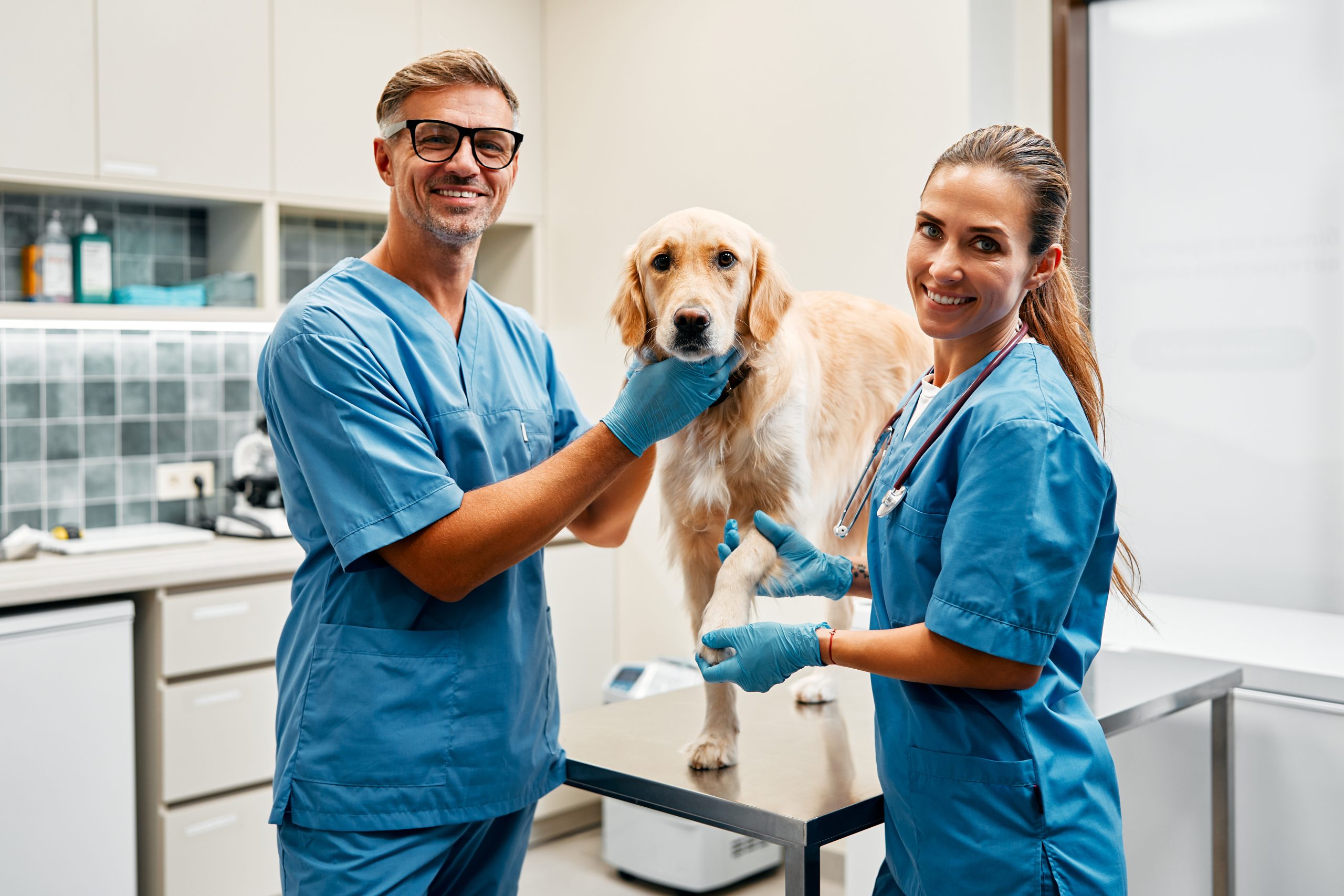 View list of faculty teaching veterinary CE courses in canine and feline medicine