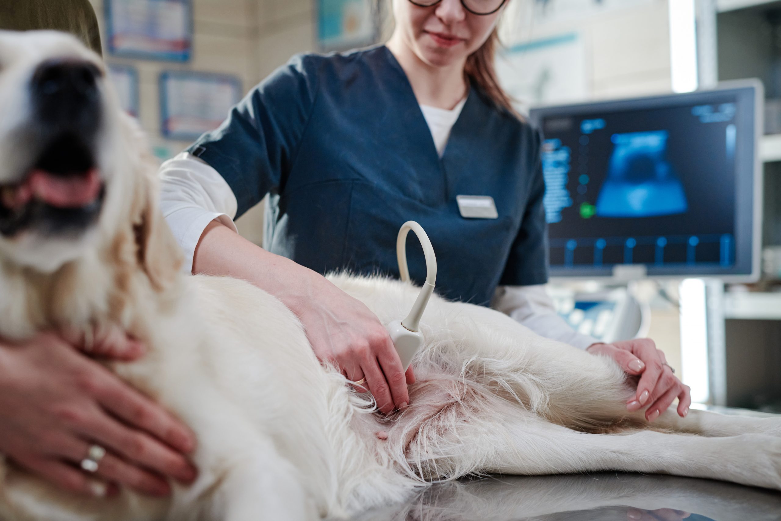 Visit RACE approved diagnostic imaging course page